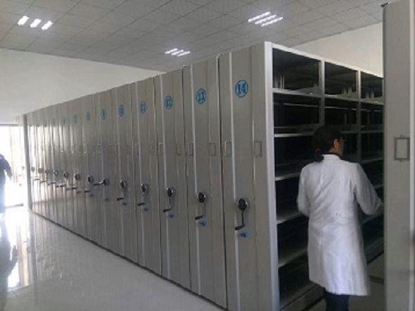 档案好色软件下载架